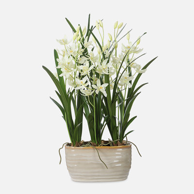 Jardinière Pétrolia