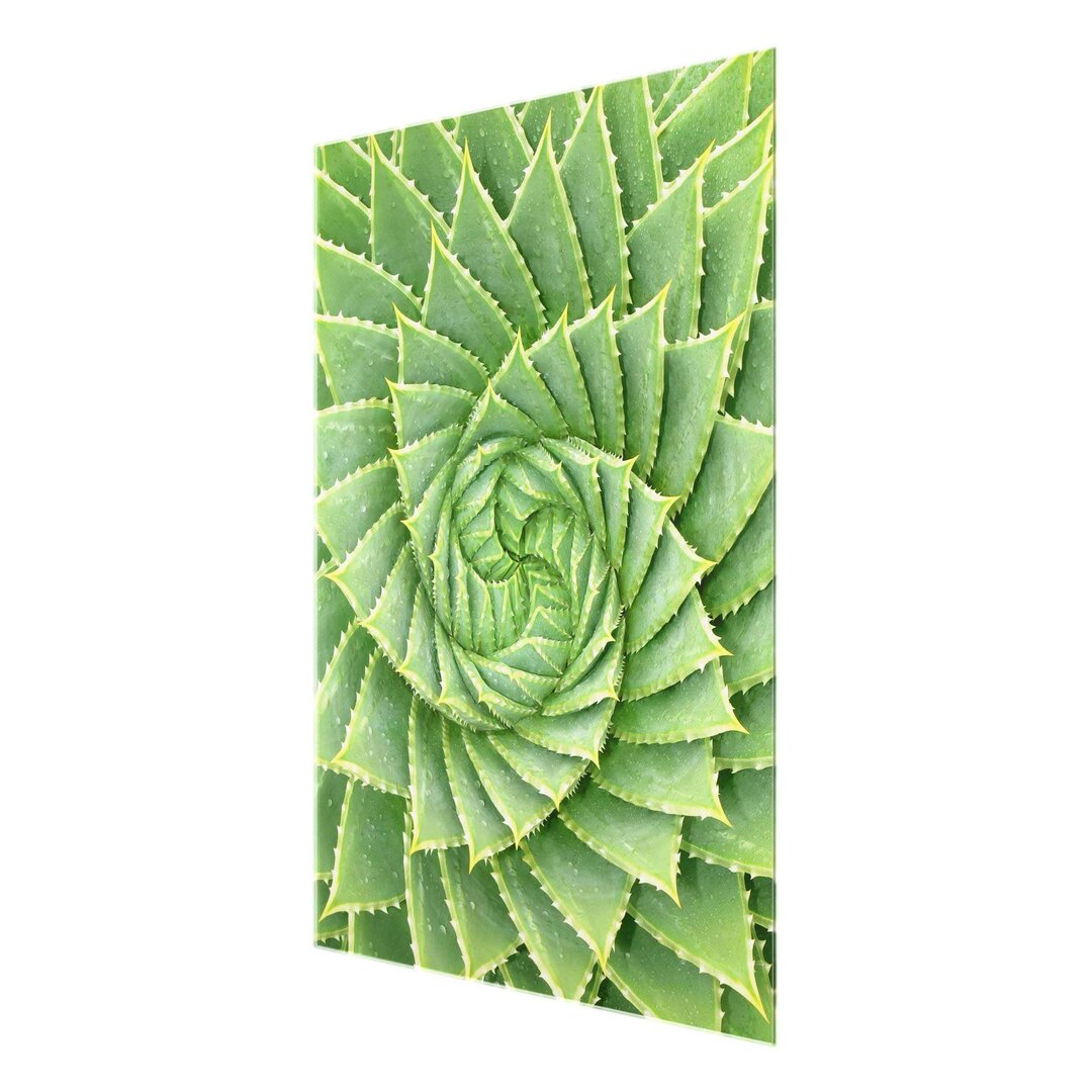 Glasbild Spiral Aloe