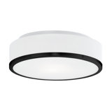 Charlie 2 - Light Flush Mount