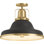 Hauksbee Semi-Flush Light