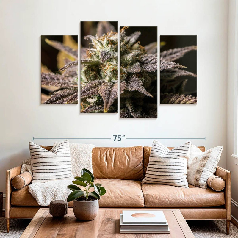 Marijuana en hiver, H 42 po x l 68 po