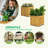 Square Acacia Wooden Planter Box, Raised Garden Bed for Outdoor Plants-540190931-540190930-540191020