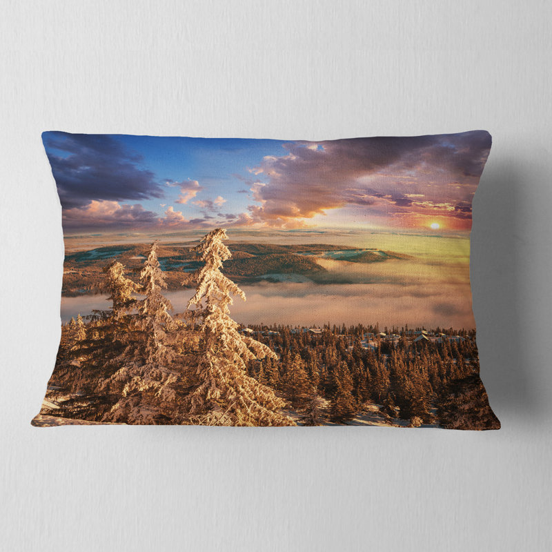 Coussin Schafer, Rectangulaire, 12 po x 20 po