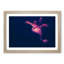 The Octopus in Abstract - Picture Frame Graphic Art Print-55763542-55763544