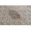 Oriental Area Rug in Ivory