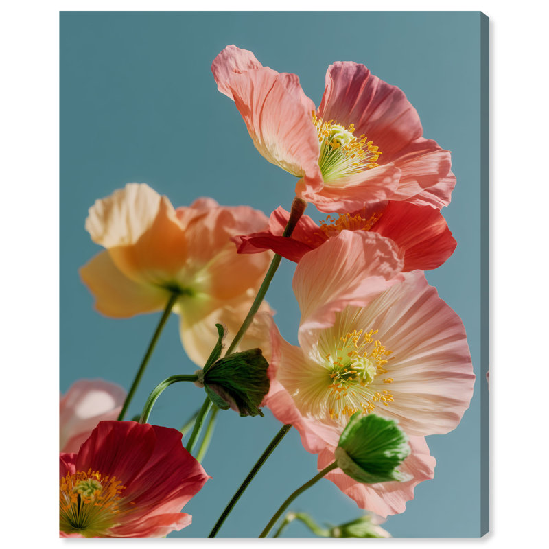 Poppy Bloom III Print by Oliver Gal, Gallery Wrapped, 20"H x 24"W