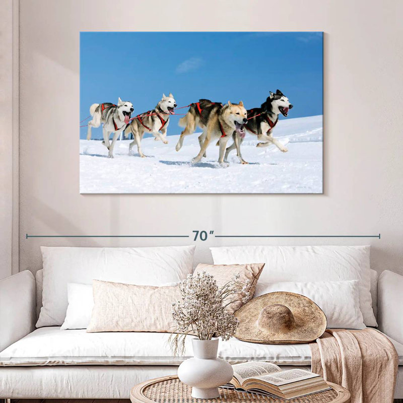 Chiens de traîneau Husky, H 32 po x l 48 po