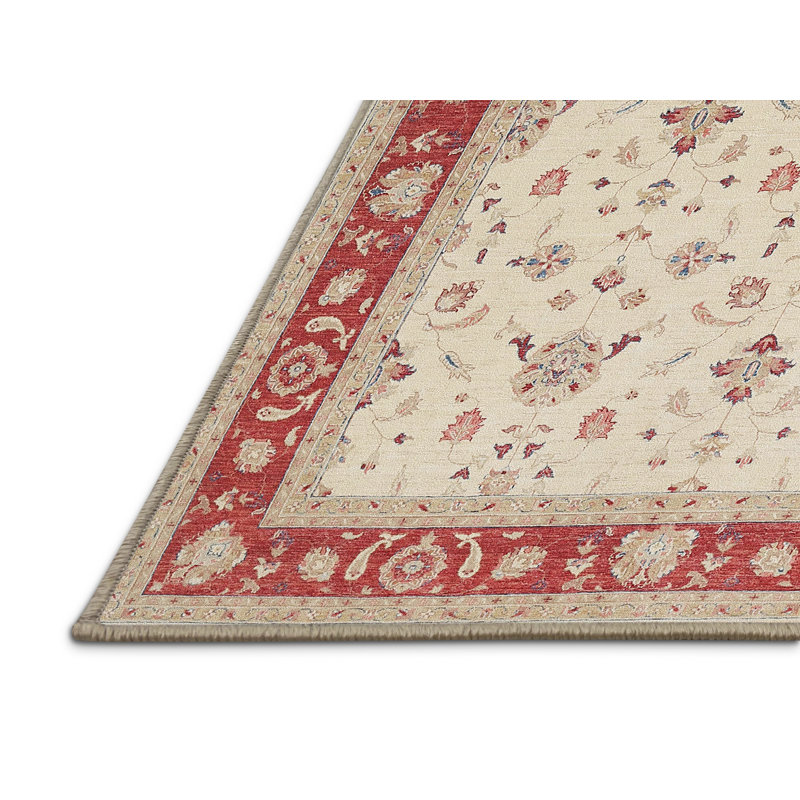 Cederia Oriental Indoor Rug, Rectangle 4' x 6'