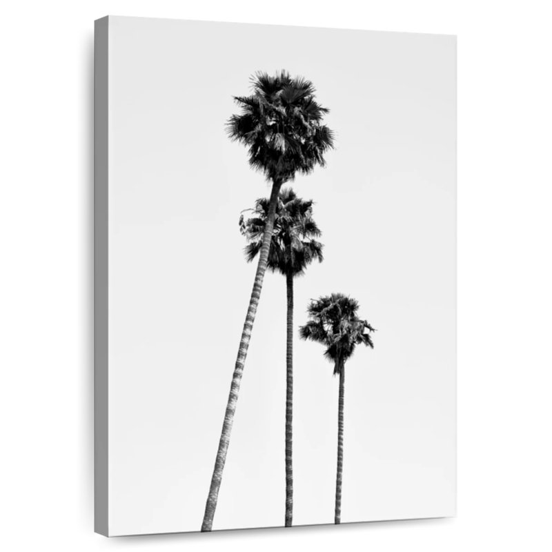 Harnek, Californie, noir, Hollywood, palmiers, H 48 po x l 32 po
