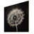 Black And White Dandelion Minimal - Dandelion Wood Wall Art On Natural Pine Wood-148617970