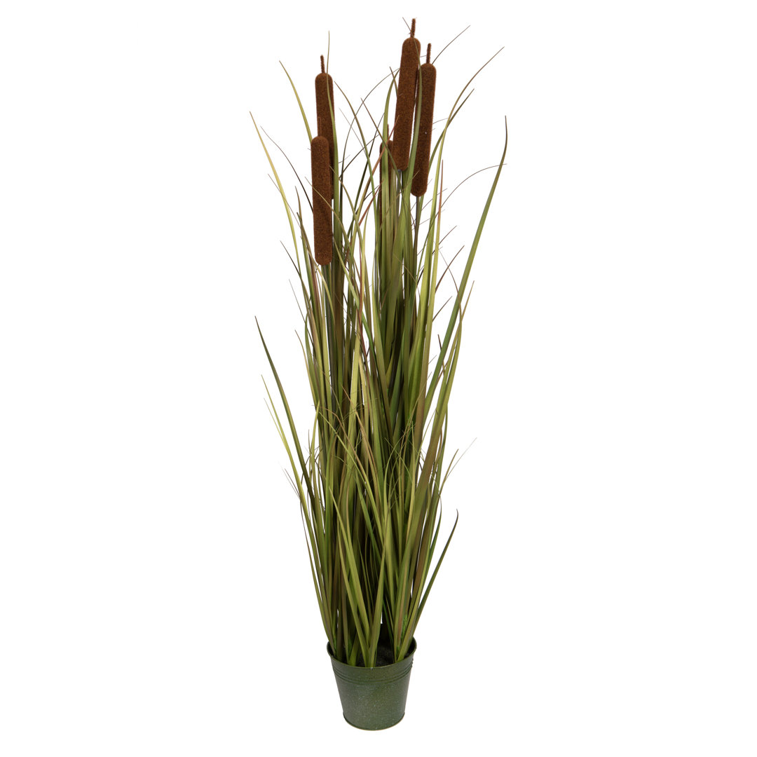 48" Artificial Potted Green Grass with Cattails Primrue