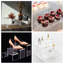 Acrylic Cupcake & Cake Pop Stand