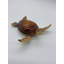 Tortue
