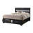 Elessa Storage Bed with 2 Drawer-742594050-772582570