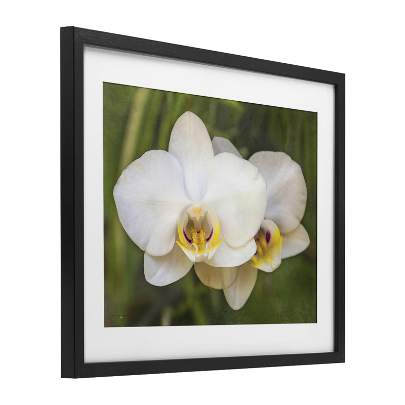 «Orchid Blossom Glow», reproduction sous verre encadrée, design par Seven Trees Design, H 13 po x l 16 po, Cadre noir minuit