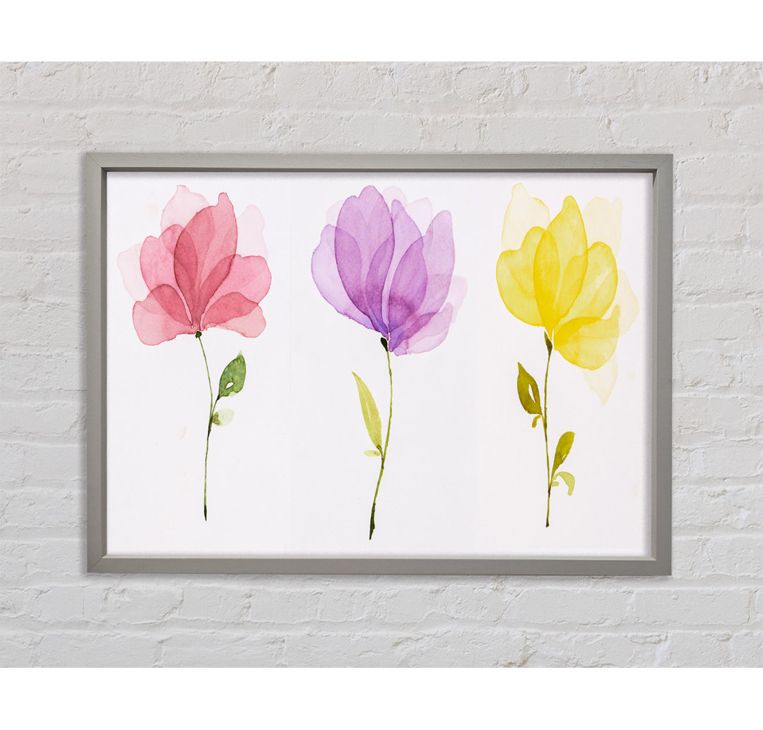 Trio von Pastellblumen - Druck