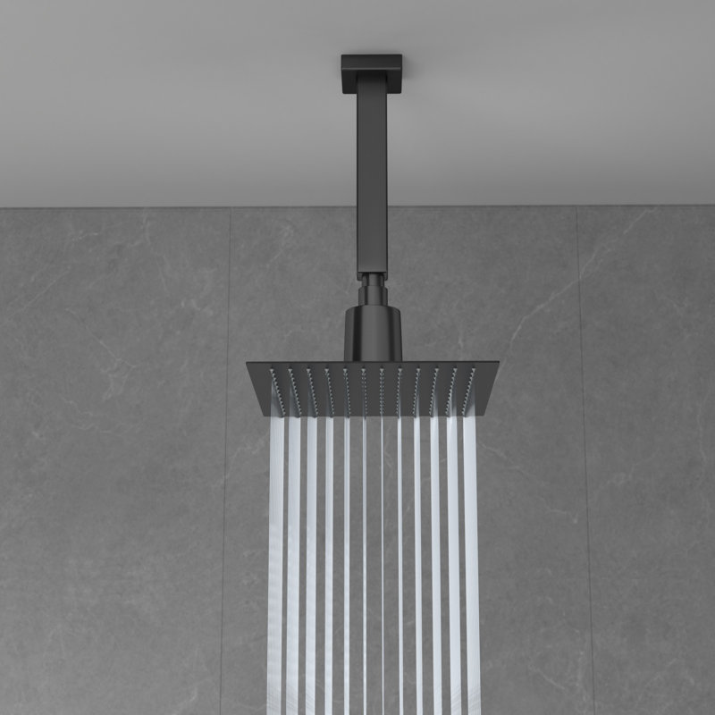 Pomme de douche à filtre L 10 po x l 10 po à fixation murale au plafond / sans plafond