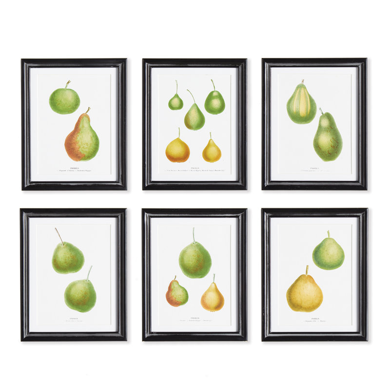 Étude Kennard Pear