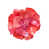 Red/Pink selected