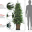 6' Pre-Lit Potted Oregon Noble Fir Slim Artificial Christmas Tree - Clear LED Lights