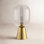 Damona Metal Novelty Lamp