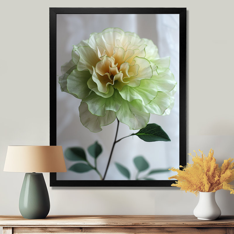 Blanc, blanc, jardin, glamour, souci, photo, souci, art mural, salon, Cadre simple noir, bois massif, H 24 po x l 32 po