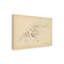 «Cyclamen» par Art Licensing Studio, reproduction d'art sur toile tendue-1066105508