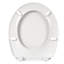 Dejarae Soft Close Elongated Standard Toilet Seat