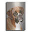 «Boxer» par Janet Pidoux-1553116449