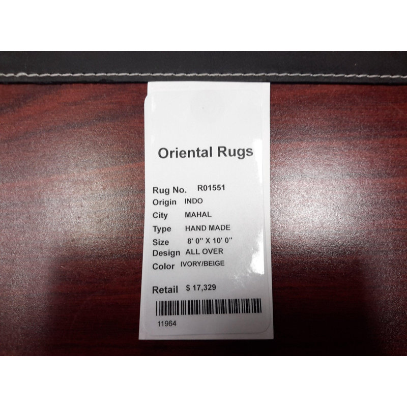 Oriental Area Rug in Ivory