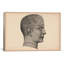 Cartographie «Phrenology Humain Head», reproduction d'impression sur toile-10869420-73922082-73922083