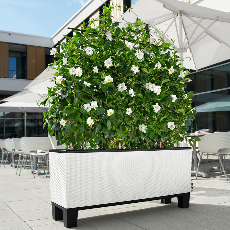 Trio Planter Box, White, 34cm H x 100cm W x 32cm D