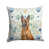 Acajou belge Malinois