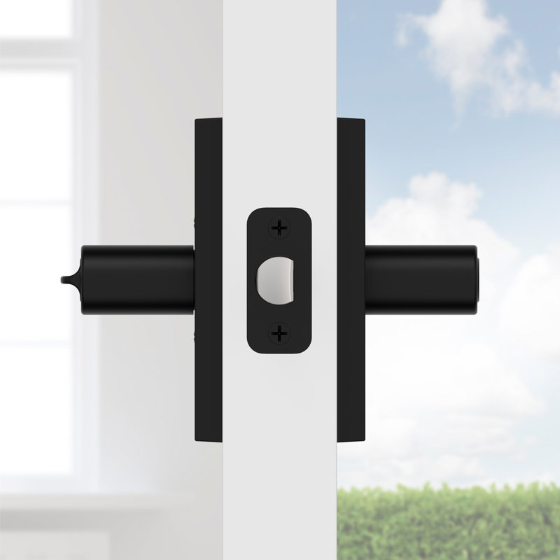 Satin Black Entry Door Lever