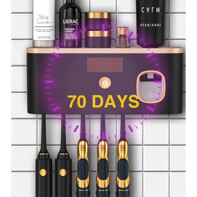 Toothbrush Holder Wall Mounted With Toothpaste Dispenser, Rechargeable Cordless, 1 Compartment (Black Rose Gold)