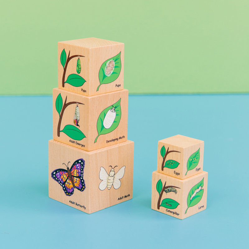 The Freckled Frog Lifecycle Learning Tools