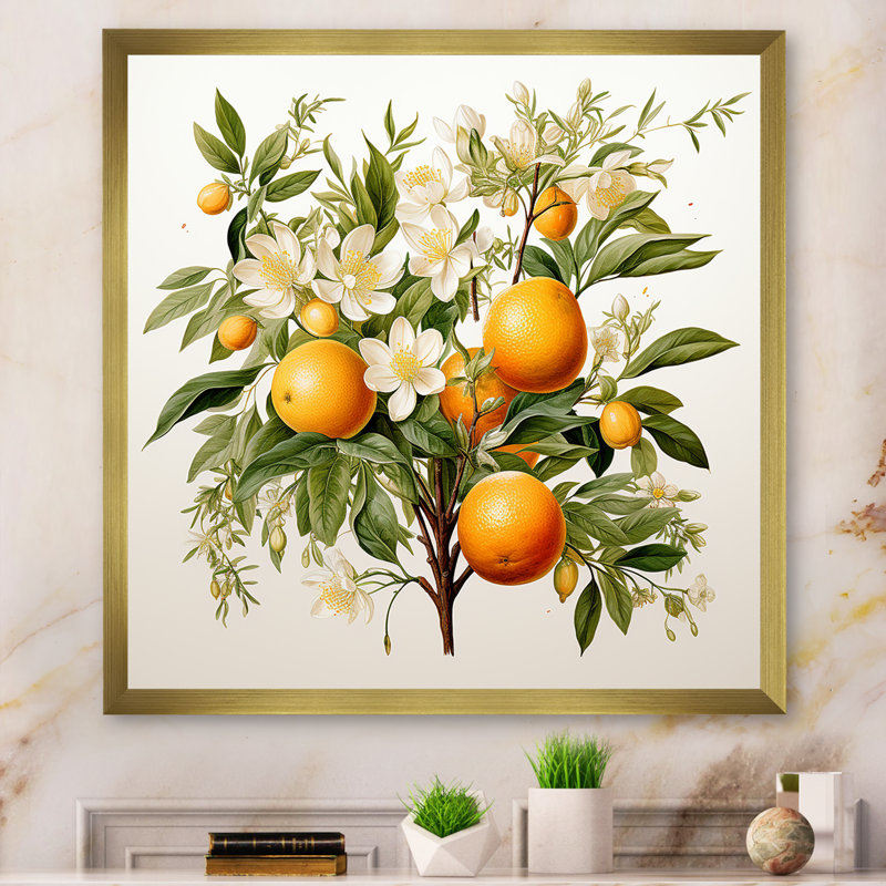 Fruit, art mural sur toile, arbre, reproduction botanique, H 30 po x l 30 po x P 1 po, Cadre doré simple