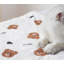 Couvertures pour chiens