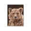 «Bushy Bear» par Cat Thurman Designs, reproduction d'art-1328498187-1328498190-1328498197