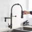 Belfry Kitchen Grifton Pull Down Kitchen Faucet