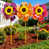 Purple Orange Pink (Set of 3)