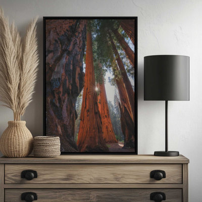 Reproduction d'art, "Sunlight Parmi les séquoias" par Martin Podt