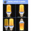 Ampoules-827774275