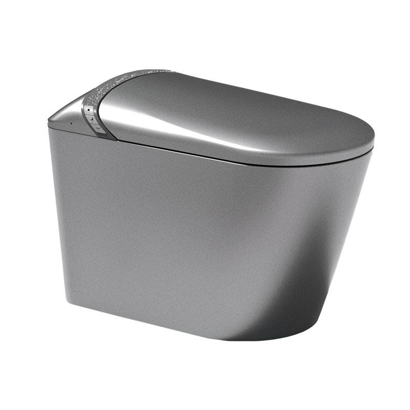 Toilette intelligente avec bidet Starry Night, Gris