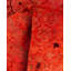 Tapis rose 3 pi 2 po x 5 pi 5 po Dametrice One-of-a-Kind