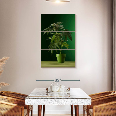 Harnek Potted Marijuana Plant