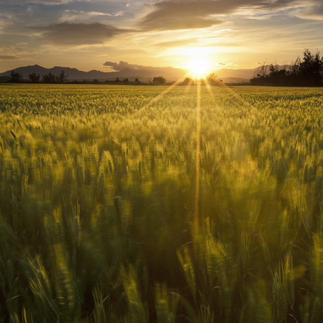 Windiger Abend by Xavierarnau - Drucken