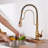 Bolden CASAINC 1.8 GPM Spring Neck Pull Down Kitchen Faucet with Deck Plate-93965564