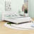 Queen Upholstered Platform Bed