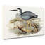 White Fronted Herons by Elizabeth Gould - Wrapped Canvas-55305355